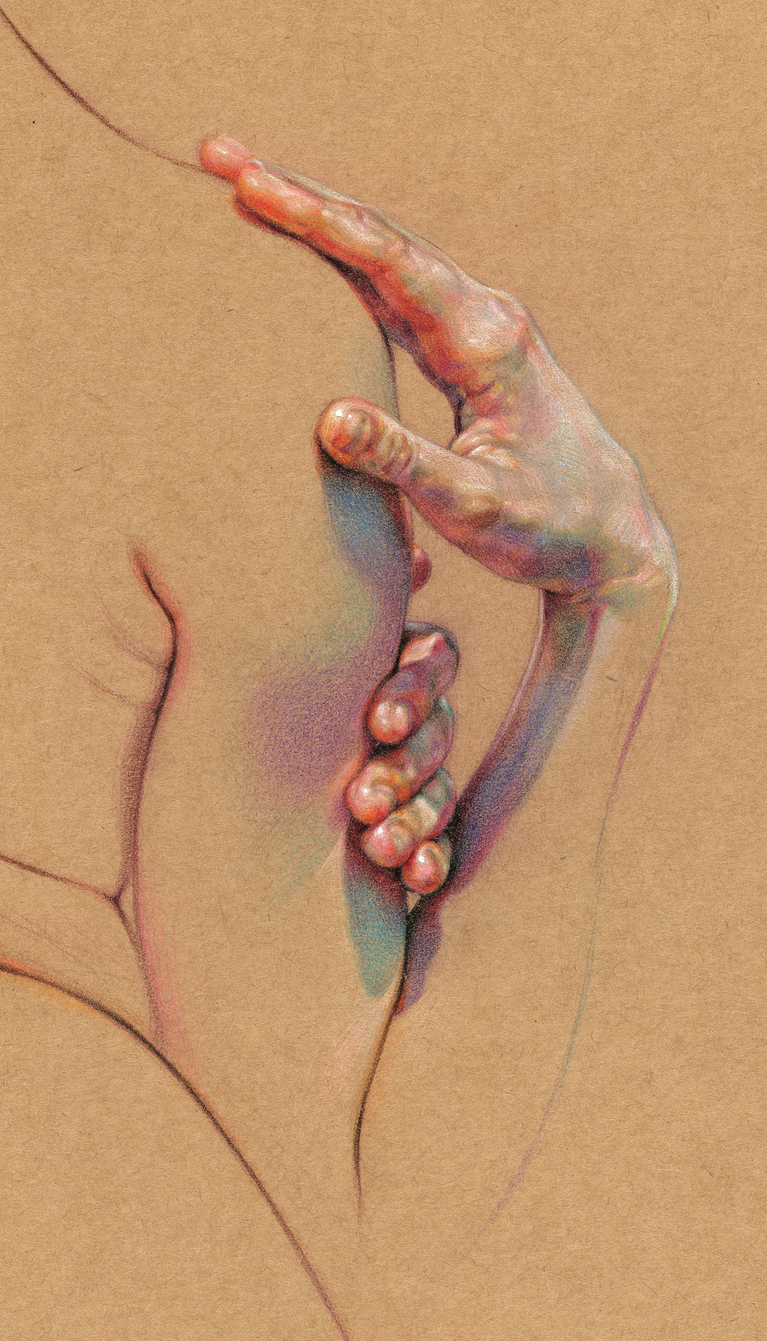 Anatomic Sketches by WanJim Gim AKA Willeys Art
